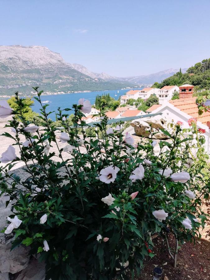 Amore Korcula Town Exterior photo